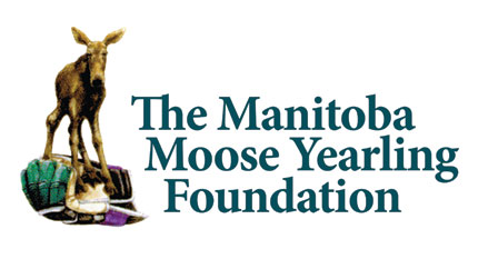 Manitoba Moose Yearling Foundation Is Founded